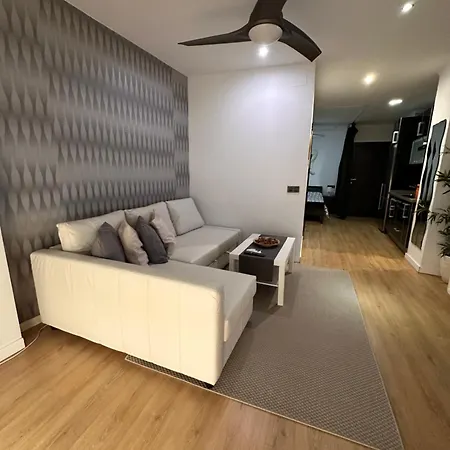 Carreteria Deluxe Apartment *